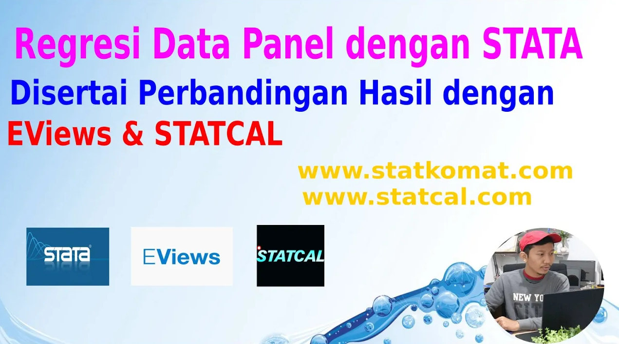 Panel Data Regression dengan STATA — Materi 9